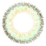 G&G Queenie Royal Green