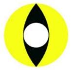 EOS Cosplay Cat Eye Yellow F26