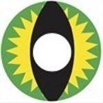 Princess Pinky cosplay Zielony Smok