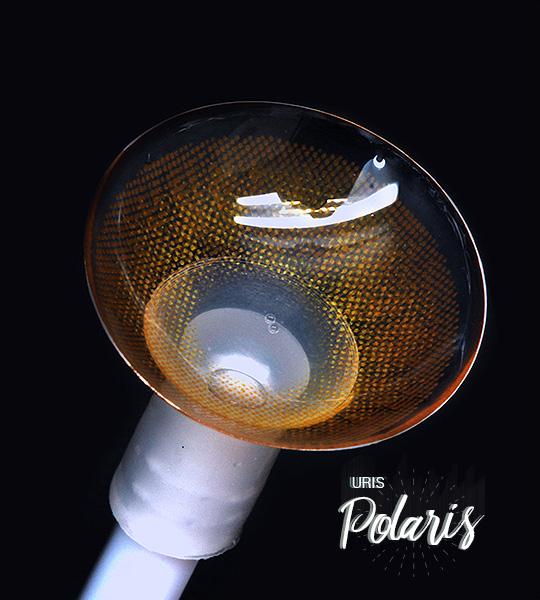 Uris Polaris Braun