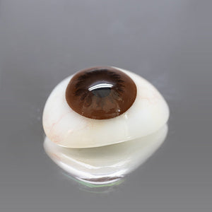 Princess Pinky Barbie Circle Brown