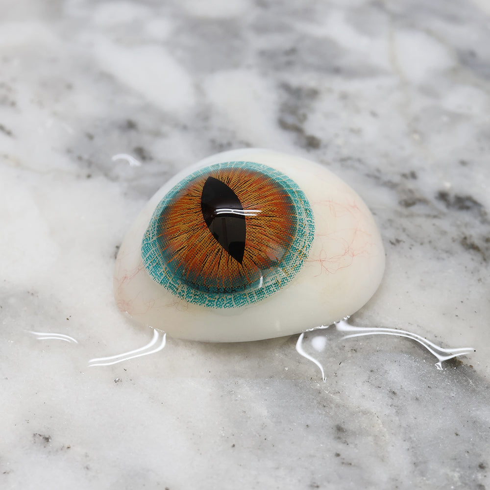 reptilian eyes on a human