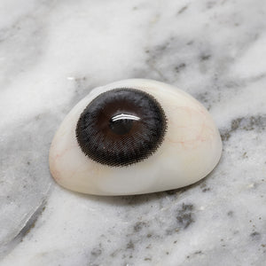 G&G A21 14.0 mm Grey Monthly circle lenses