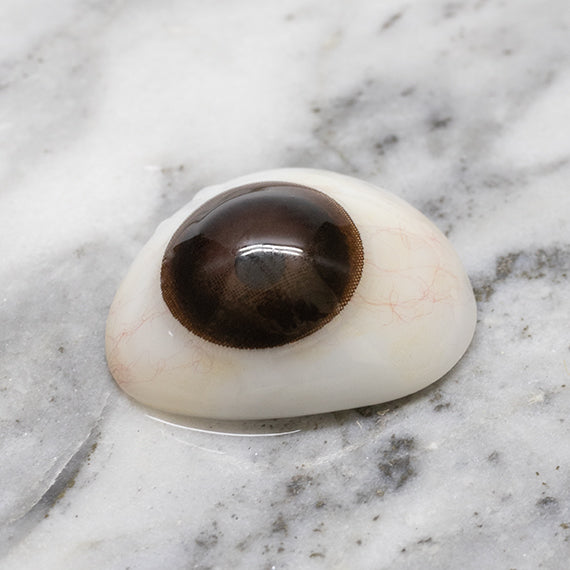 Dolly brown monthly colored contact lenses