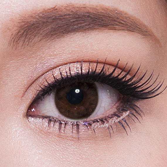 Geo HoliCat Lovely Cat Choco