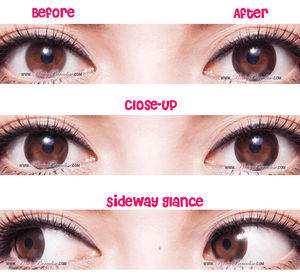G&G Classic 1 Tone Choco