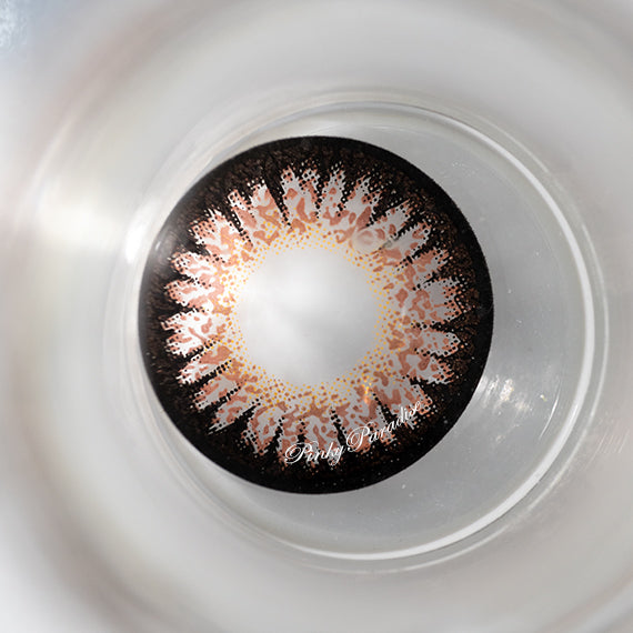 Princess Pinky Dolly Mimi Chocolate Brown