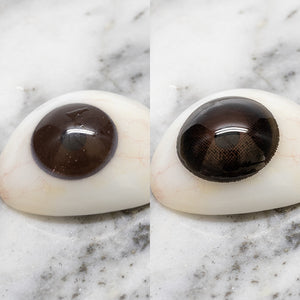 dolly contact lenses