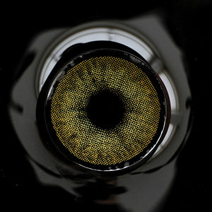 Uris Aktivpuls Braun