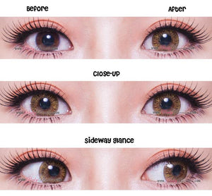 Vassen彩虹眼棕色榛果色