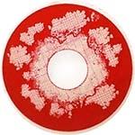 Princess Pinky, aufgestiegenes totes Sclera 