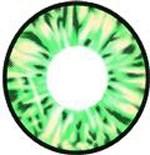 Vassen Lollipop Green