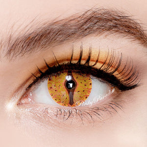 Princess Pinky Cosplay Reptilian Dragon