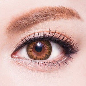 G&amp;G BT03 Marrón 