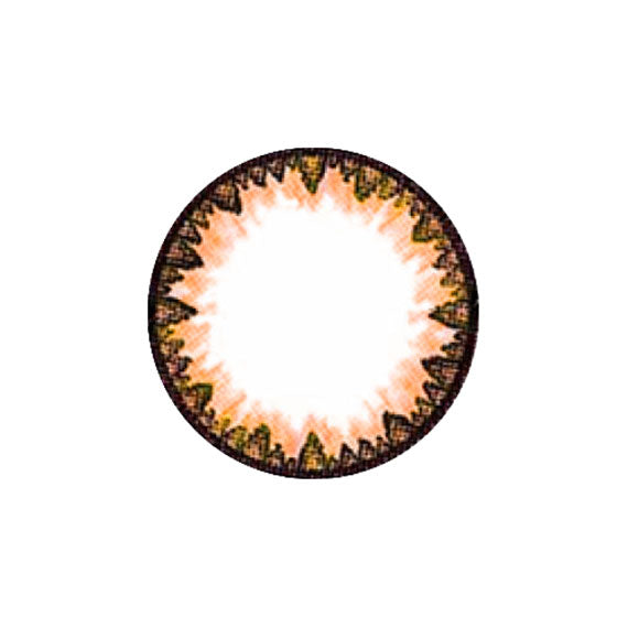 G&amp;G DM21 Marrón 