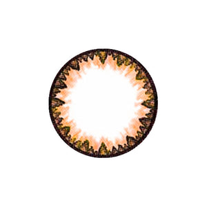 G&amp;G DM21 Marrón 