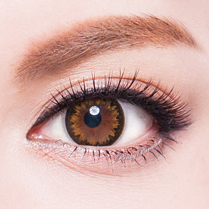 G&amp;G DM21 Marrón 