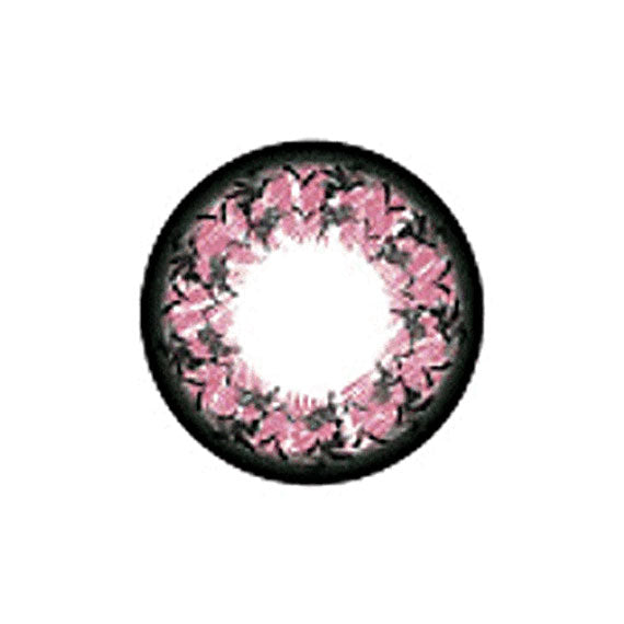 Fleur Géo Morning Glory Rose