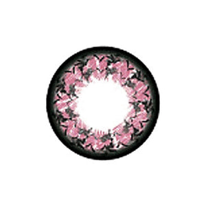 Fleur Géo Morning Glory Rose