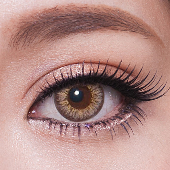 Geo HoliCat Barbie Cat Hazel