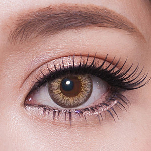 Geo HoliCat Barbie Cat Hazel