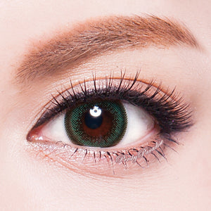 Geo Oliwkowe Skrzydło