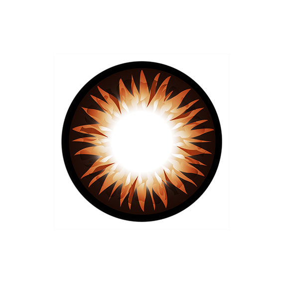 GEO Xtra WBS 204 Bella Brown