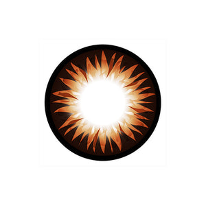 GEO Xtra WBS 204 Bella Brown