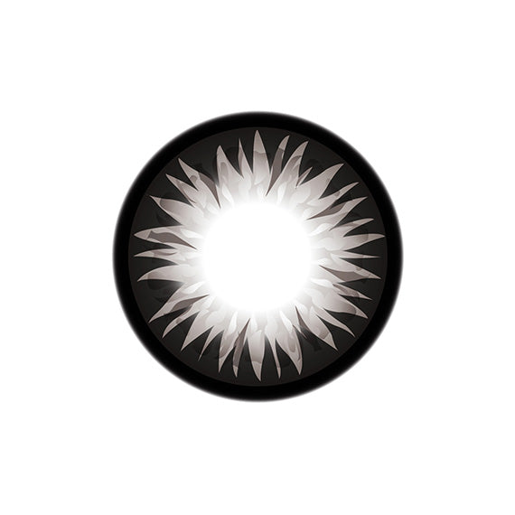 GEO Xtra WBS 205 Gris Bella 