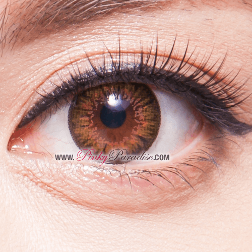 G&amp;G BT03 Marrón 