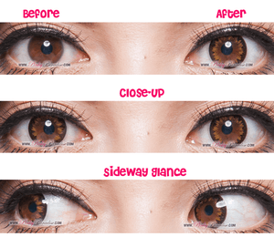 G&amp;G DM21 Marrón 