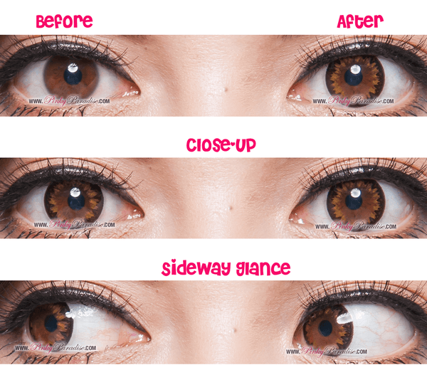 G&amp;G DM21 Marrón 