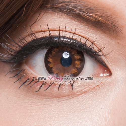 G&amp;G DM21 Marrón 