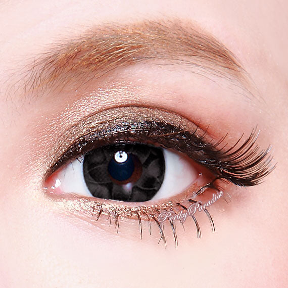 G&G Fairy Water Black