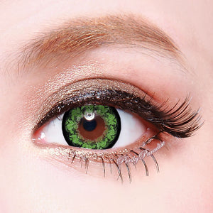 Fleur Géo Morning Glory Verte