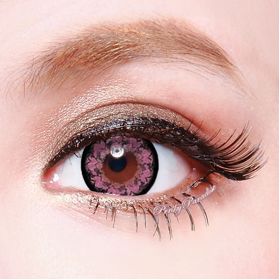 Fleur Géo Morning Glory Rose