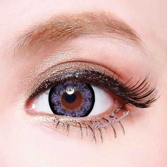 Geo Flor Gloria de la Mañana Violeta