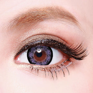 Fleur Géo Gloire du Matin Violet