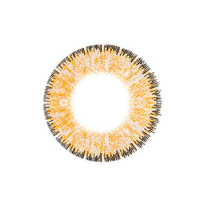 G&amp;G Queenie Royal Marron 