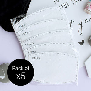 Filtre de masque PM.2.5 (lot de 5) 