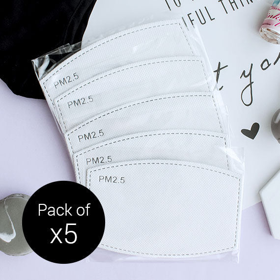 Filtre de masque PM.2.5 (lot de 5) 