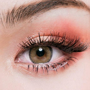 Princess Pinky Eurasia Caramel Brown