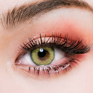 Princess Pinky Eurasia Khaki Green (Toric)