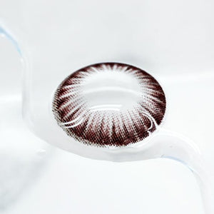 Uris Bonbon Cacao Brown (Toric)