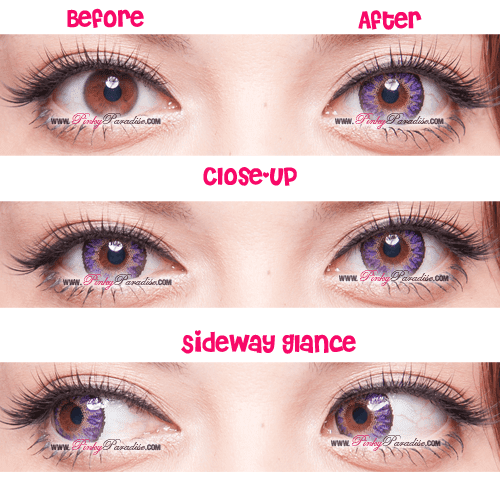 G&G Aurora Tricolor Violet